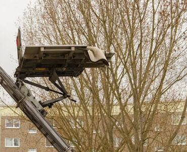 Möbellift in Butzbach: Möbellift zwischen kahlen Bäumen vor einem Gebäude