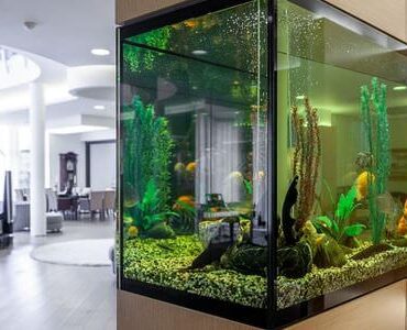Aquarium-Umzug Butzbach: Großes Aquarium in einem modernen Wohnzimmer