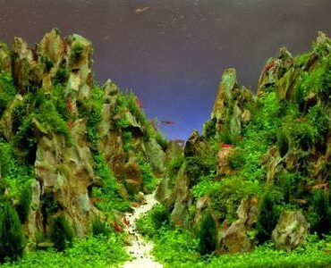 Aquarium-Umzug Butzbach: Aquarium mit Felslandschaft und Pflanzen